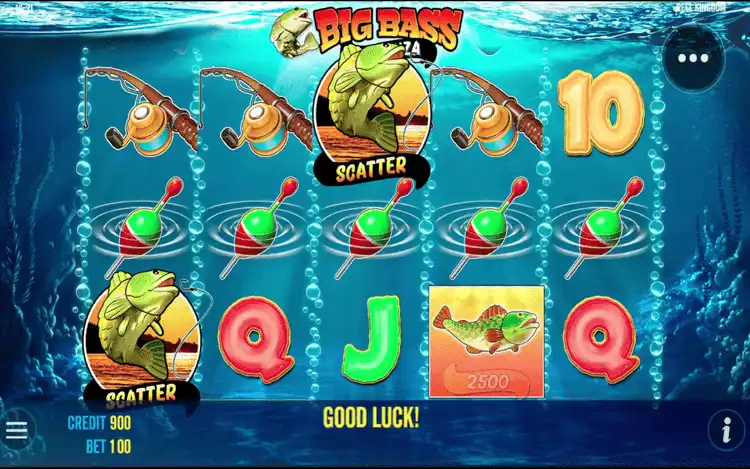 Mobile Interface - Compressed Layout Affects Gameplay Big Bass Bonanza mobile interface screenshot showing smaller fish symbol values and compressed game layout